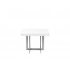 Remi End Table Matte White with Brushed Stainless Steel