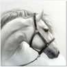 J&M Furniture Acrylic Wall Art White Horse | SB-61184 - J&M Furniture Acrylic Wall Art White Horse | SB-61184