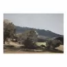 Moe's Home Collection Vast Country Framed Painting - Detail - Moe's Home Collection Vast Country Framed Painting - Detail