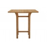 Greenington Tulip Counter Height Table, Caramelized - Front Angle